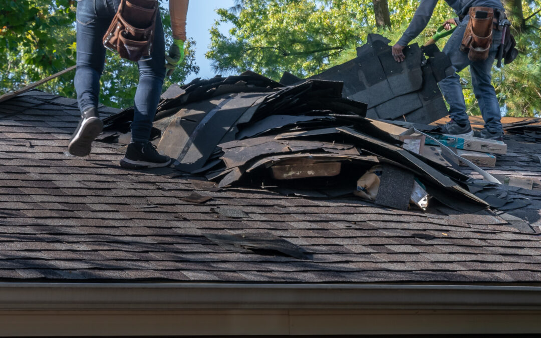 Wind-Damaged Shingles? Here’s How to Fix Them