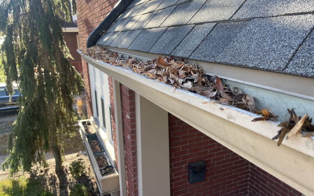 The Ultimate Guide to Gutter Services in Rockwall, TX