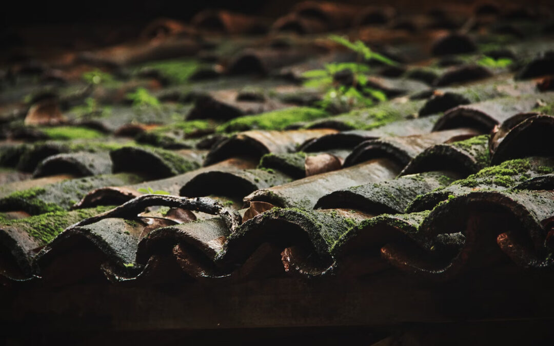 How To Know When It’s Time To Replace Your Roof: A Homeowner’s Guide