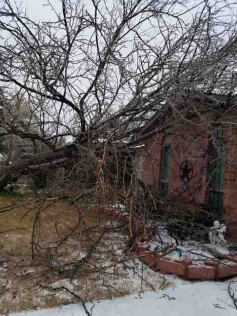 Contractor Connection: Finding the Best for Storm Damage Repair